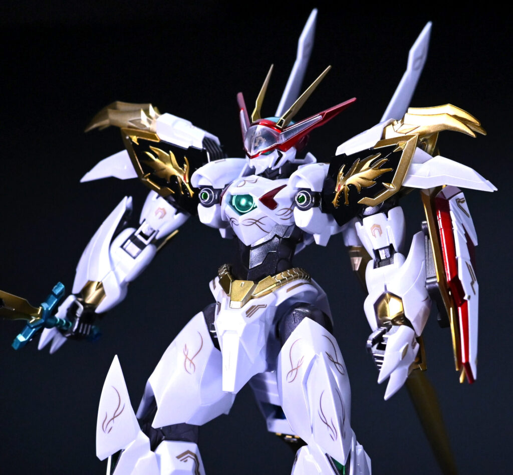 HG Amplified IMGN 龍王丸